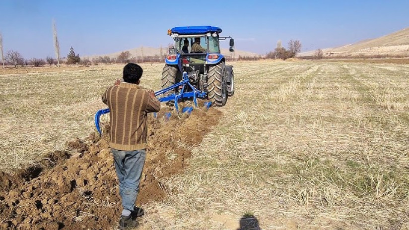 Hökumətdən sosial sığorta ödənişlərinə artım