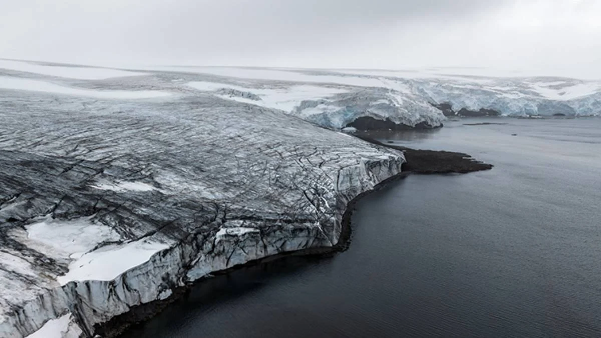Qlobal böhran sürətlənir: Erkən işarələr